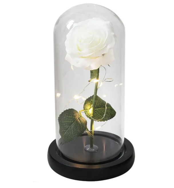 Eternal Enchantment - Illuminated Galaxy Rose