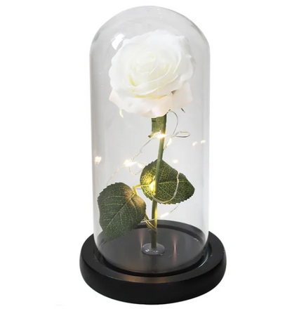Eternal Enchantment - Illuminated Galaxy Rose
