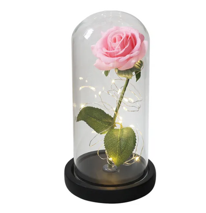 Eternal Enchantment - Illuminated Galaxy Rose