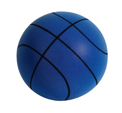 QuietPro™ Basketball