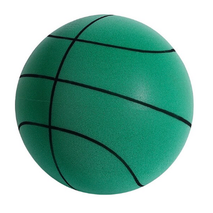 QuietPro™ Basketball