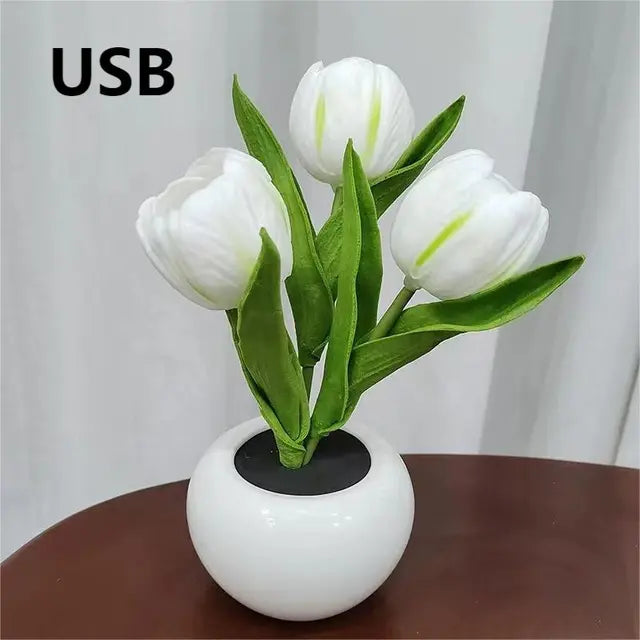 Enchanted Tulip - Illuminated Night Light