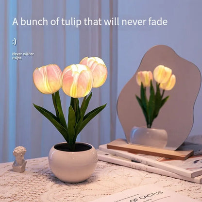 Enchanted Tulip - Illuminated Night Light